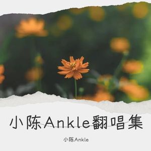 小陈Ankle翻唱集