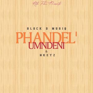 Phandel'Umndeni