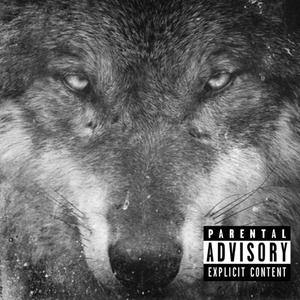 Wolfy (Explicit)