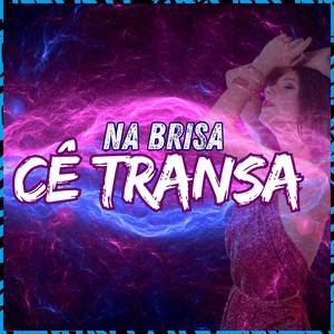 Na Brisa cê Tranza (Explicit)