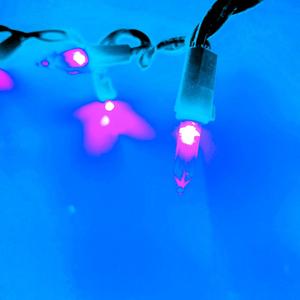 the room song (Explicit)