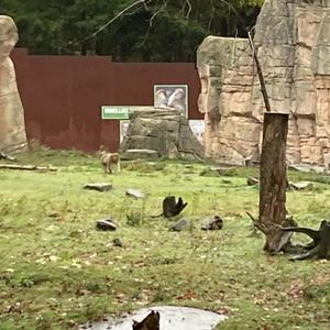 Summer Time (feat. LBOY)