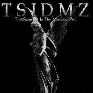 T.s.i.d.m.z. Tracks from Some Compilations