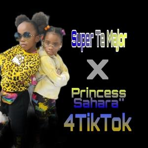 4TikTok(feat. Princess Sahara')