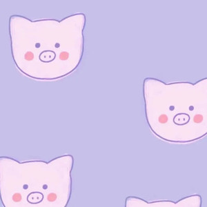 一笑倾城 (女声版)