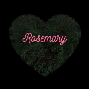 Rosemary