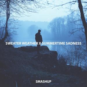Sweater Weather x Summertime Sadness (Medley)