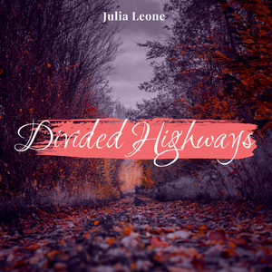 Divided Highways