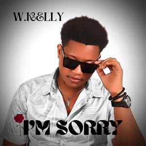 I'M SORRY (feat. SHADMOSS) (Explicit)