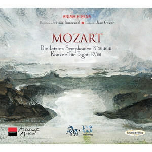 Concerto for Bassoon in B-Flat Major, K. 191 - Concerto for Bassoon in B-Flat Major, K. 191: III. Rondo (Tempo di menuetto)