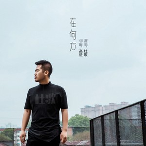 在何方 (DJ何鹏版)