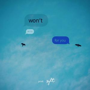 Won't Wait for You (feat. Sylt)