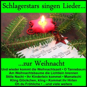 Die Weihnachtsgeschichte (口白)