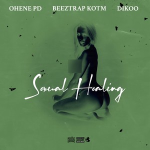Sexual Healing (Explicit)