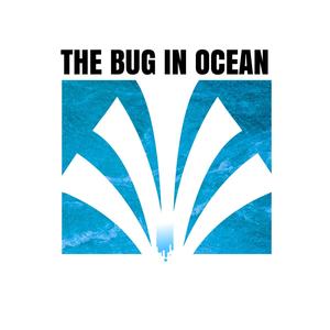 The Bug in Ocean