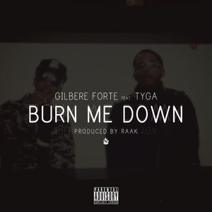 Burn Me Down - Remix (Explicit)