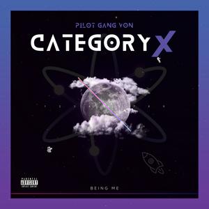 Category X (Explicit)