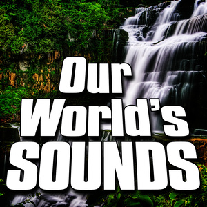 Our World's Sounds (Nature Sounds)