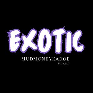 Exotic (feat. Cjat) [Explicit]