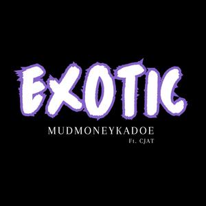Exotic (feat. Cjat) (Explicit)