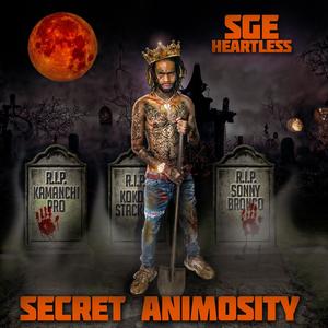 Secret Animosity (Explicit)