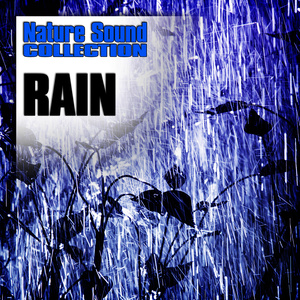 Light Rain Shower with Drips and Puddles