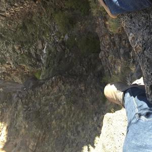 NMmoney(feat. NextApollo) (Explicit)