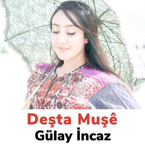 Deşta Muşe