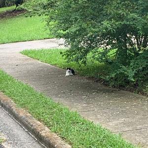 talk it out (Explicit)