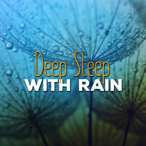 Deep Sleep with Rain