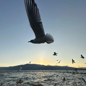 Dear John-是小汪同学