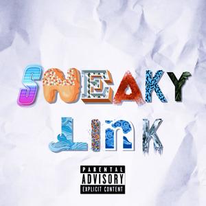 Sneaky Link (Explicit)