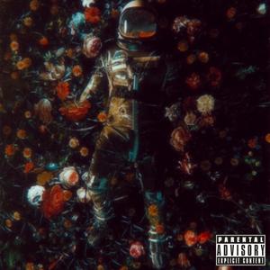 Shameless (Explicit)