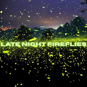 Late Night Fireflies