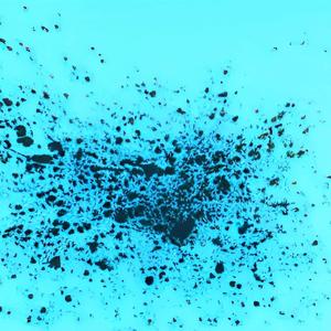 4_fun (feat. pichu) (Explicit)