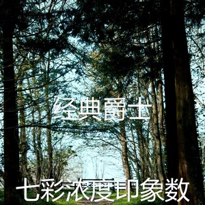 一尘不染读印象数