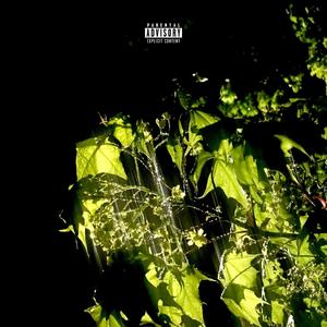 Pumpkin Pie (Explicit)