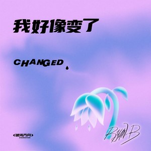 我好像变了封面