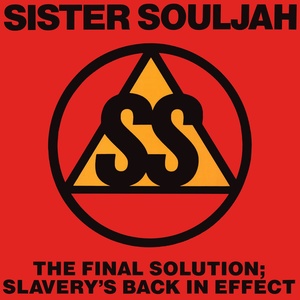 The Final Solution: Slavery's Back In Effect (Acapella)
