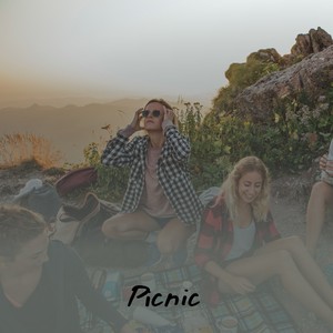 Picnic