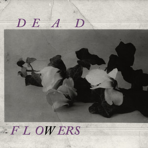 Dead Flowers