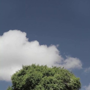 熹微 王一博 (纯钢琴无损原剧版)