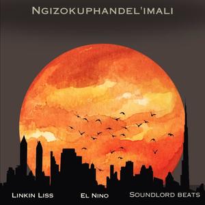 NGIZOKUPHANDEL'IMALI (feat. Linkin Liss & Soundlord Beats)