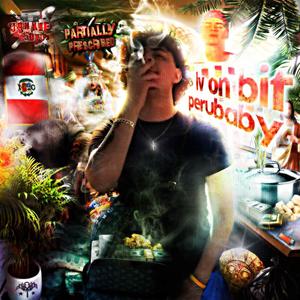 lv on bit (Perubaby) (feat. Perubaby & Partially Prescribed)