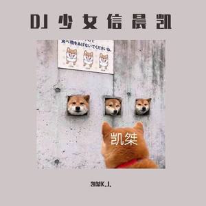 DJ少女改版百花香