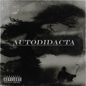 Autodidacta