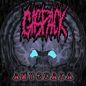 AMYGDALA