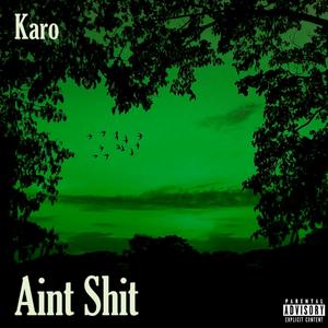 Ain't **** (Explicit)