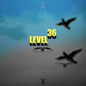 Level 36 (Explicit)