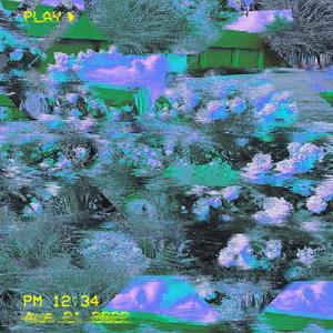 Fake Idols (Explicit)